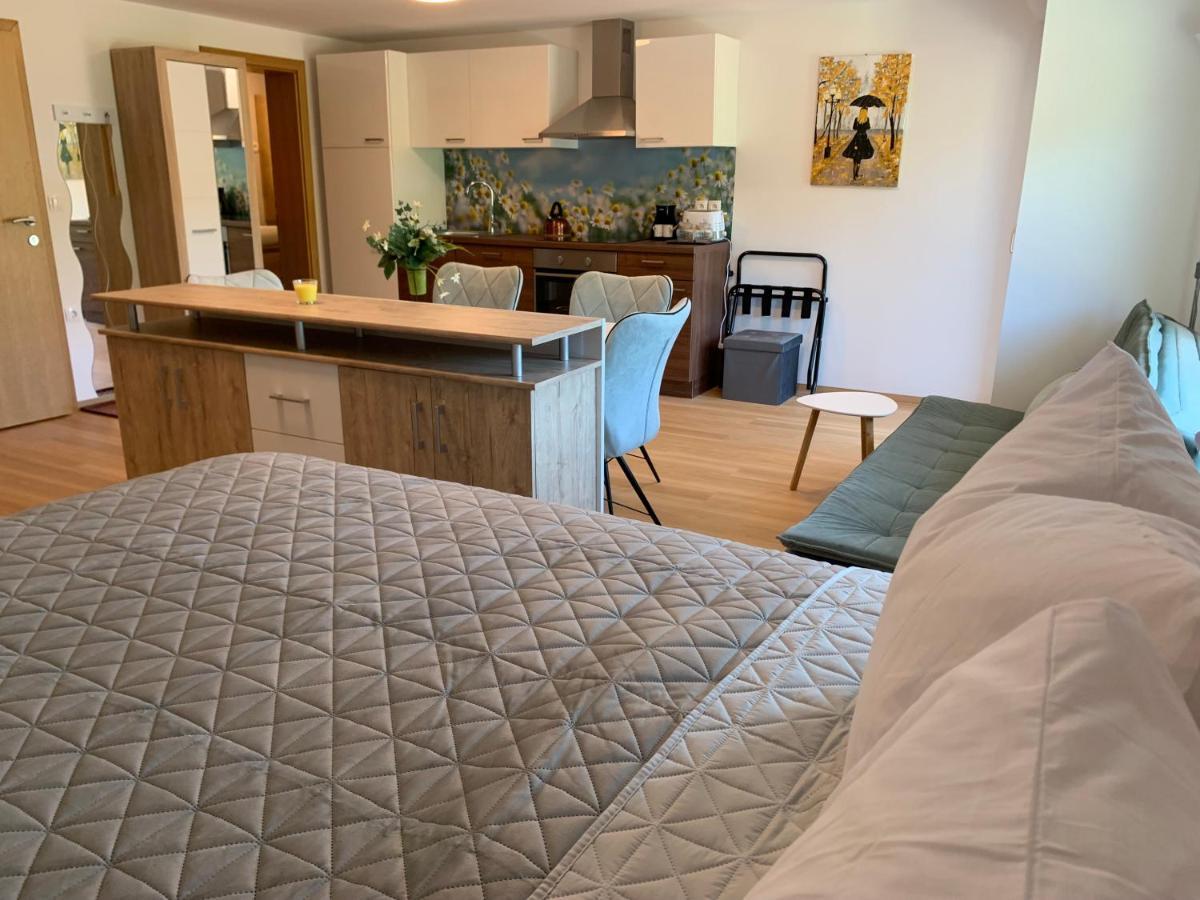 Apartmaji Prʼ nas Laško Zewnętrze zdjęcie
