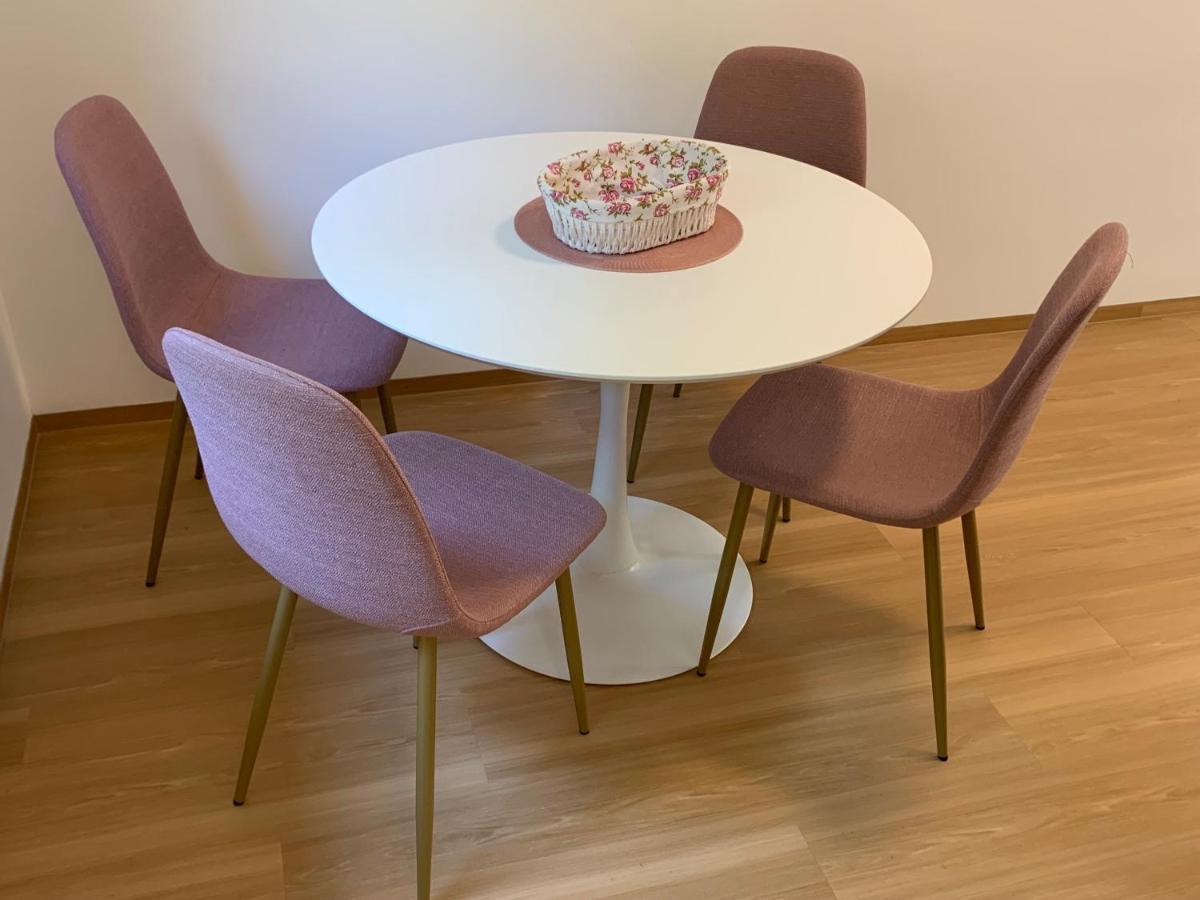 Apartmaji Prʼ nas Laško Zewnętrze zdjęcie