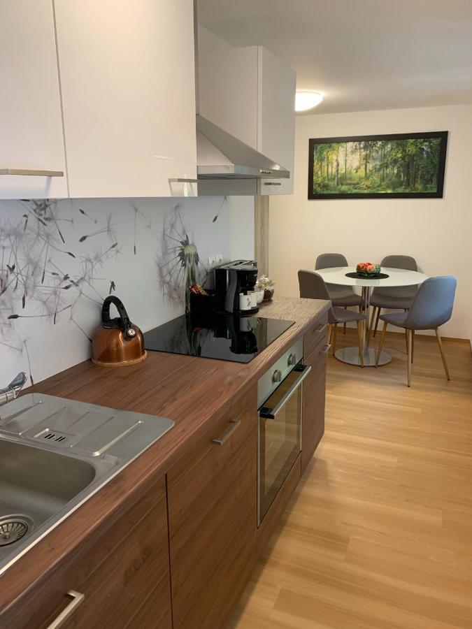 Apartmaji Prʼ nas Laško Zewnętrze zdjęcie